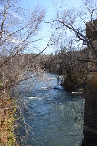 DSC_1097 (Large).JPG